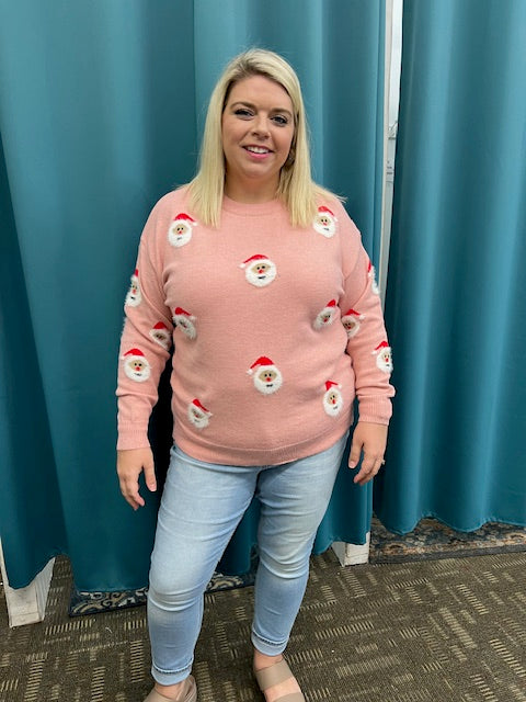 Take Santa Home Sweater A214
