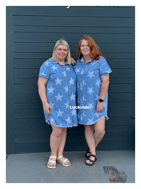 Twinkle Star Denim Dress D1508
