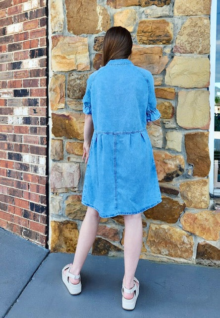 Amazing Retro Denim Dress D1529