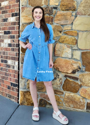 Amazing Retro Denim Dress D1529