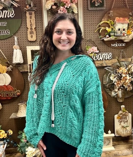 Eye Catching Knit Hoodie 8342
