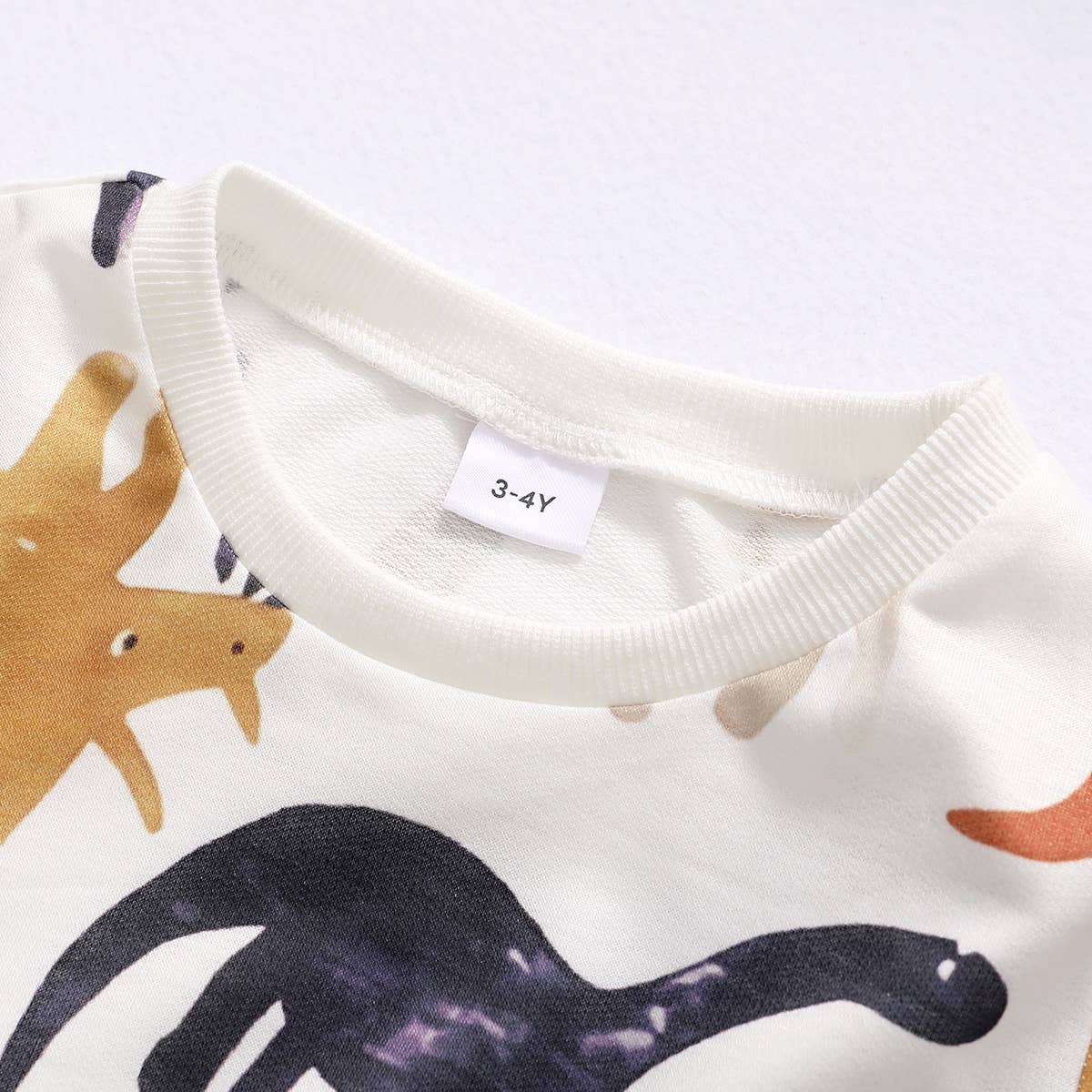 K125 Boy Cartoon Dinosaur Sweatshirt