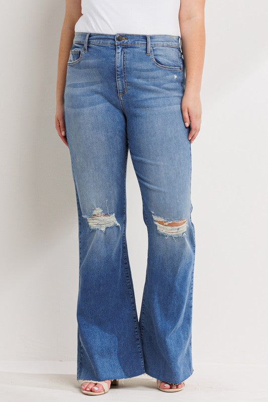Boston Comfy Curvy Jeans 8031