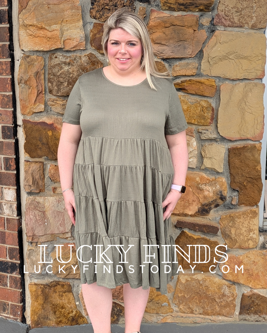 Florence Curvy Midi Swing Dress W341