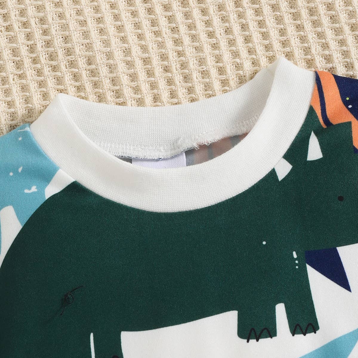 K115 2pcs Baby Boy Dinosaur Sweatshirt