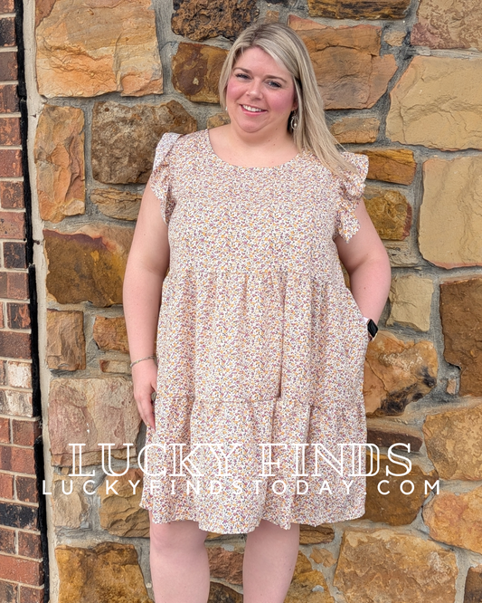 Fun Curvy Girl Sleeveless Dress W338