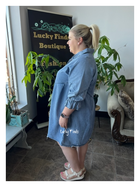 Natalie Curvy Denim Dress D1359