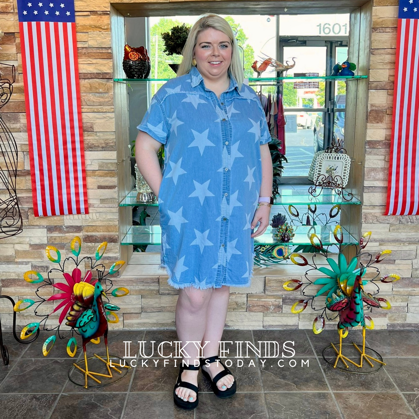 Twinkle Star Denim Dress D1508
