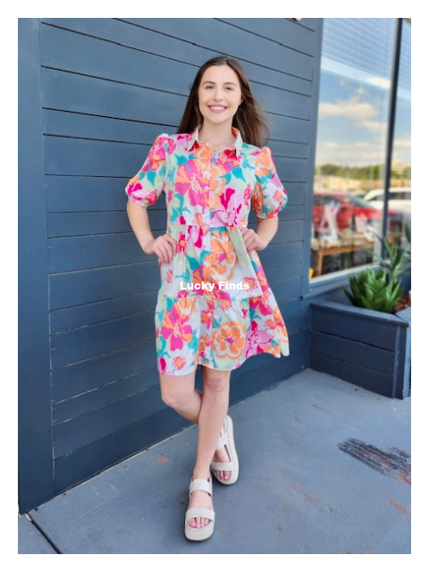 Summer Vibe Dress D1533