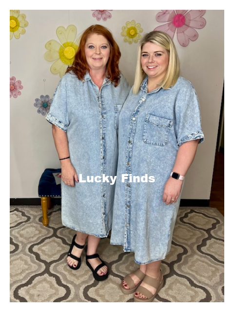 Nashville Denim Midi Dress D1575