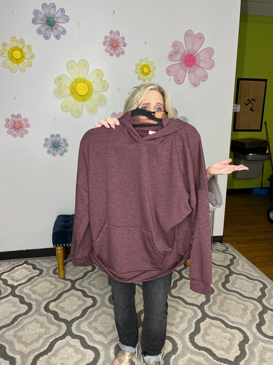 Got This Fun Hoodie 8668 Final Sale