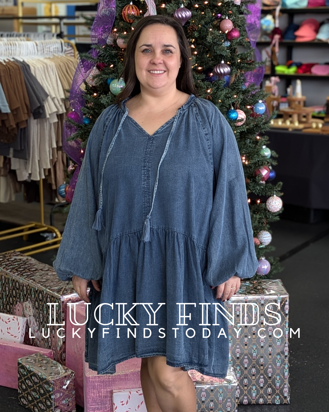 Vintage Easel Washed Denim Dress P419