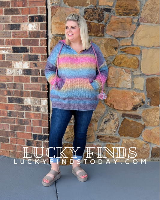 Cozy Rainbow Curvy Hoodie W232