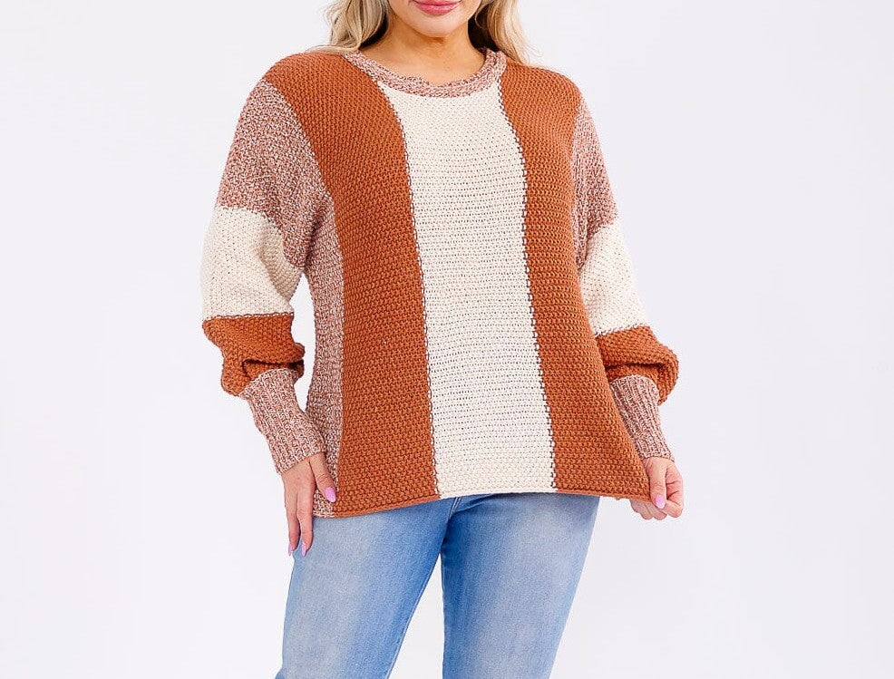 Cozy Curvy Sweater Top W400