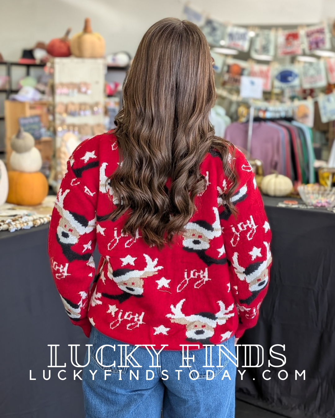 Holiday Print Sweater Top W502