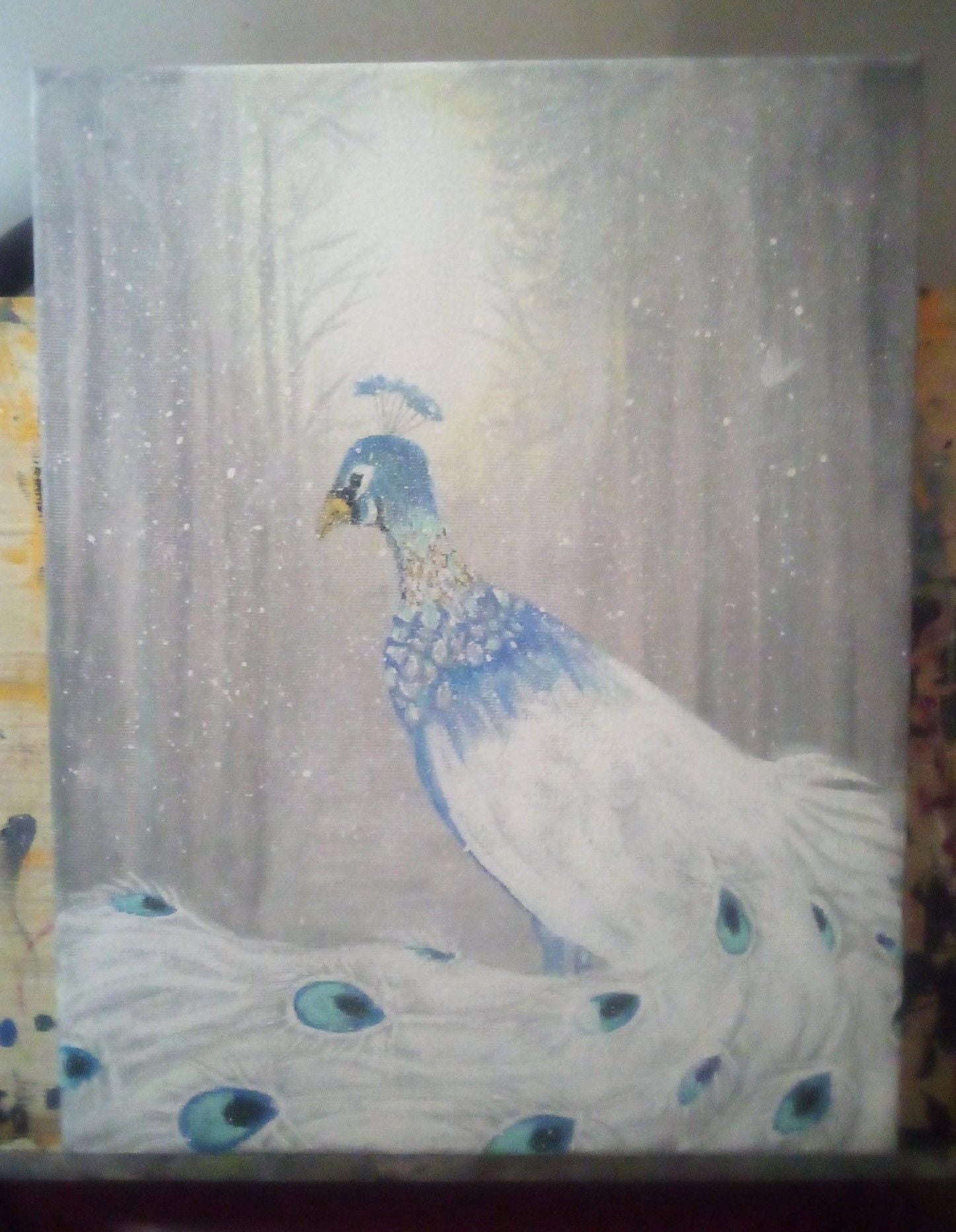 Winter peacock - 1